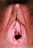 Amber Summer Gapes Her Hairy Pussy and Takes a Tinkle, Amber Summer (amb070) ATK Petites: Amber Summer (Amber Summer Gapes Her Hairy Pussy and Takes a Tinkle)