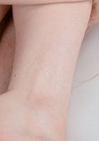 Apricot Pitts in young and hairy, Apricot Pitts (apr024) ATK Natural & Hairy: Apricot Pitts (Apricot Pitts in young and hairy)