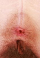 Apricot Pitts Sexy Stripping and Spreading, Apricot Pitts (apr024) ATK Natural & Hairy: Apricot Pitts (Apricot Pitts Sexy Stripping and Spreading)
