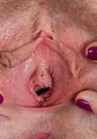 Apricot Pitts in amateur, Apricot Pitts (apr024) ATK Natural & Hairy: Apricot Pitts (Apricot Pitts in amateur)