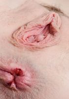 Athena Rayne from ATK Premium