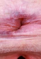 Avery Wilds from ATK Galleria