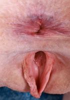 ATK Petites: Avery Wilds (Avery Wilds can really stretch)