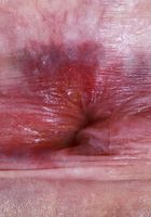 ATK Petites: Avery Wilds (Avery Wilds Ripped Jeans Pink Pussy Spreads)