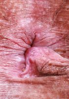 ATK Exotics: Naudi Nala (Naudi Nala spreads that ass and pussy)