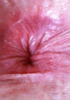 ATK Natural & Hairy: Big Eyes (Big Eyes Kitty Cat Hairy Pussy Spreads)