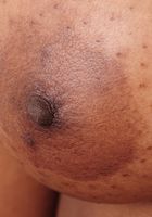 Coco in upskirts and panties, Coco (coc011) ATK Exotics: Coco (Coco in upskirts and panties)