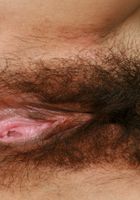Daisy in exotic and hairy, Daisy (dai012) ATK Petites: Daisy (Daisy in exotic and hairy)