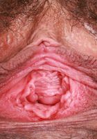 Dakota Marr from ATK Natural & Hairy