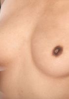 Ember Snow in asians, Ember Snow (emb006) ATK Exotics: Ember Snow (Ember Snow in asians)