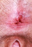 Gigi loves to strip, Gigi (gig009) ATK Natural & Hairy: Gigi (Gigi loves to strip)