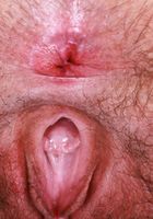 Gigi Throwing Curves and Fur from ATK Natural & Hairy Gigi from ATK Natural & Hairy