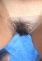 Gloria in latinas, Gloria (glo008) ATK Exotics: Gloria (Gloria in latinas)