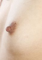 Harmony Wonder in latinas, Harmony Wonder (har021) ATK Exotics: Harmony Wonder (Harmony Wonder in latinas)