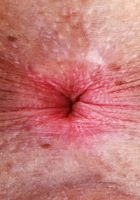 Harmony Rivers Spreads her Pink Holes, Harmony Rivers (har024) ATK Petites: Harmony Rivers (Harmony Rivers Spreads her Pink Holes)