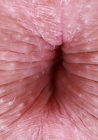 Harlow West from ATK Galleria