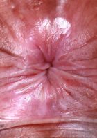 Isabella Jules from ATK Exotics