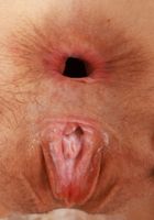 Jackie Hoff Spreads Her Perfect Pussy, Jackie Hoff (jac041) ATK Petites: Jackie Hoff (Jackie Hoff Spreads Her Perfect Pussy)