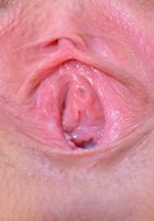 Kasey spreads and gapes her tight ass and beautiful bush, Kasey Warner (kas007) ATK Natural & Hairy: Kasey Warner (Kasey spreads and gapes her tight ass and beautiful bush)