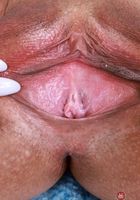 Kate Legend from ATK Exotics