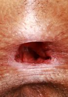 Laynee James from ATK Petites