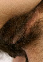 Mariam shows off some sexy legs and her full bush, Mariam (mar127) ATK Natural & Hairy: Mariam (Mariam shows off some sexy legs and her full bush)