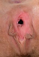 Nickey gapes her hairy pussy at the camera., Nickey Huntsman (nic093) ATK Petites: Nickey Huntsman (Nickey gapes her hairy pussy at the camera.)