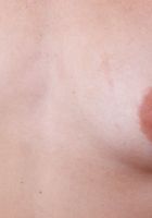 ATK Galleria: Nicole Nichols (Nicole Nichols in her long fancy dress)