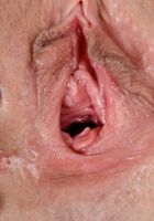 Nikki Next detonates your hard penis with her perfect gaping vagina., Nikki Next (nik111) ATK Exotics: Nikki Next (Nikki Next detonates your hard penis with her perfect gaping vagina.)