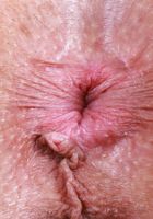 Ophelia Fae is waiting for you in just her underwear, Ophelia Fae (oph002) ATK Galleria: Ophelia Fae (Ophelia Fae is waiting for you in just her underwear)