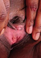 Black model Pauline spreads her pussy, Pauline (pau033) ATK Exotics: Pauline (Black model Pauline spreads her pussy)