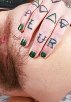 Peal Sage Stretching and Spreading Big Bush, Pearl Sage (pea013) ATK Natural & Hairy: Pearl Sage (Peal Sage Stretching and Spreading Big Bush)