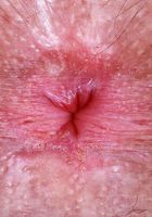 Pearl Sage in a tight red body suit, Pearl Sage (pea013) ATK Natural & Hairy: Pearl Sage (Pearl Sage in a tight red body suit)