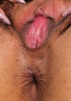 Penelope Reed in young and hairy, Penelope Reed (pen027) ATK Natural & Hairy: Penelope Reed (Penelope Reed in young and hairy)