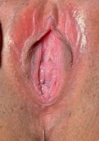 Penelope Reed in latinas, Penelope Reed (pen027) ATK Exotics: Penelope Reed (Penelope Reed in latinas)