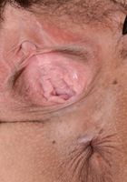 Penelope Reed in exotic and hairy, Penelope Reed (pen027) ATK Natural & Hairy: Penelope Reed (Penelope Reed in exotic and hairy)