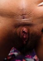 Penelope Reed in exotic and hairy, Penelope Reed (pen027) ATK Natural & Hairy: Penelope Reed (Penelope Reed in exotic and hairy)