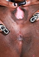 Poppy Cox from ATK Exotics