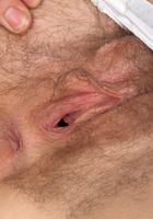 Roxette from ATK Natural & Hairy
