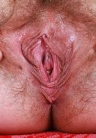 Sahara Skye from ATK Natural & Hairy