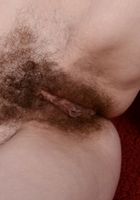Hairy Sammy spreads her ass, Sammy Grand (sam040) ATK Archives: Sammy Grand (Hairy Sammy spreads her ass)