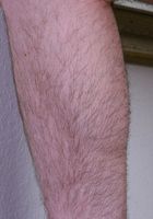 Sandy Hasn't Shaved in Months, Sandy (san052) ATK Archives: Sandy (Sandy Hasn't Shaved in Months)