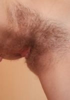 Hairy beauty Sandy spreads her hairy pussy, Sandy (san071) ATK Natural & Hairy: Sandy (Hairy beauty Sandy spreads her hairy pussy)