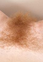 Hairy redhead Scarlett shows off her bush, Scarlett Rose (sca027) ATK Archives: Scarlett Rose (Hairy redhead Scarlett shows off her bush)