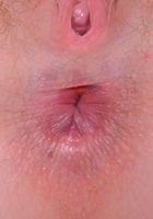 Marie stretches open her horny hairy holes., Marie McCray (she044) ATK Petites: Marie McCray (Marie stretches open her horny hairy holes.)