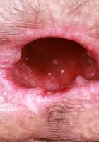 Sia Wood has an inviting hole or two, Sia Wood (sia004) ATK Natural & Hairy: Sia Wood (Sia Wood has an inviting hole or two)