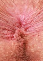 Sia Wood Ripped Jeans Hairy Bush, Sia Wood (sia004) ATK Natural & Hairy: Sia Wood (Sia Wood Ripped Jeans Hairy Bush)