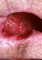 Sia Wood in black leather and knee-high boots, Sia Wood (sia004) ATK Petites: Sia Wood (Sia Wood in black leather and knee-high boots)