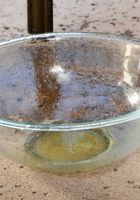 Summer takes a piss in a glass bowl, Summer Day (sum026) ATK Galleria: Summer Day (Summer takes a piss in a glass bowl)