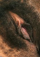 Tonya in black women, Tonya (ton001) ATK Exotics: Tonya (Tonya in black women)